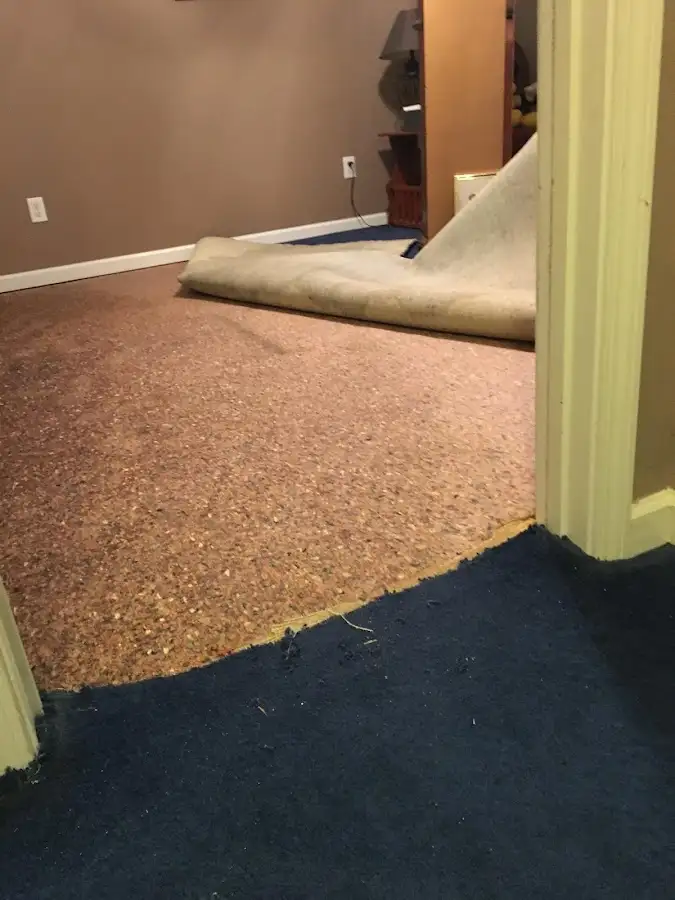 Carpet pad removal revealing water damage during Drying & Dehumidification in Bonne Terre