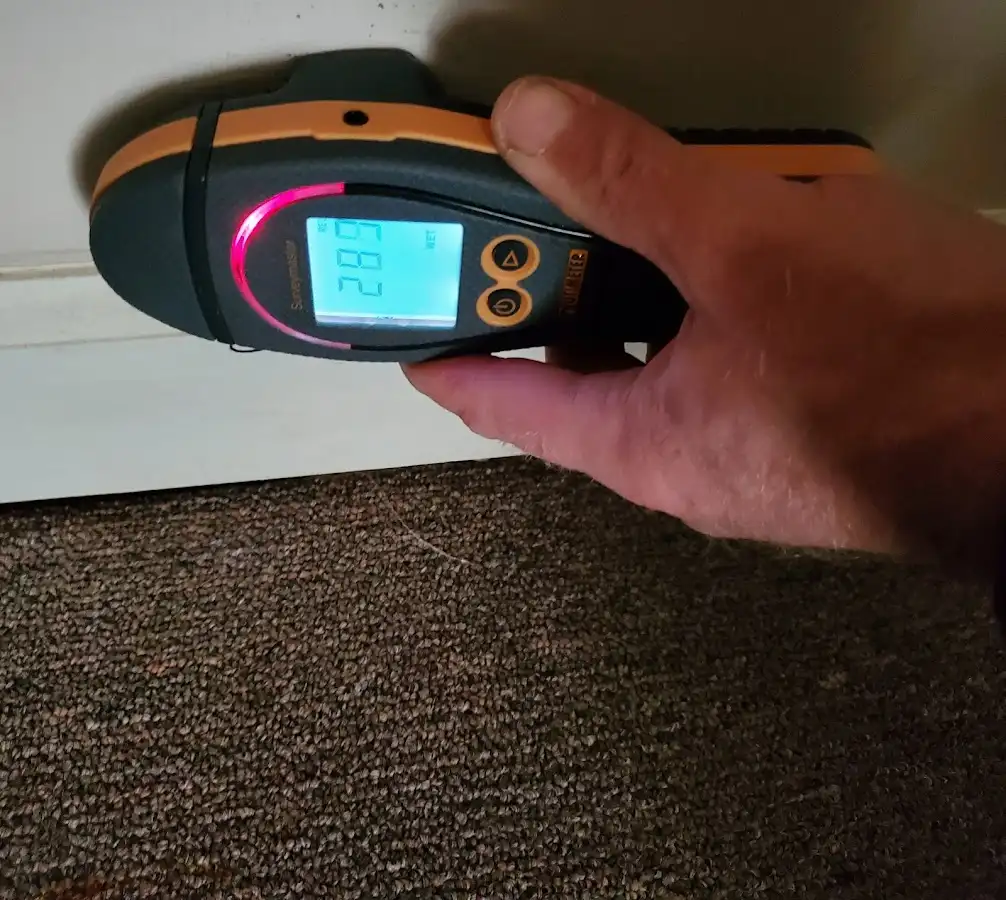 Moisture detection at baseboard during Storm Damage Restoration in Bonne Terre